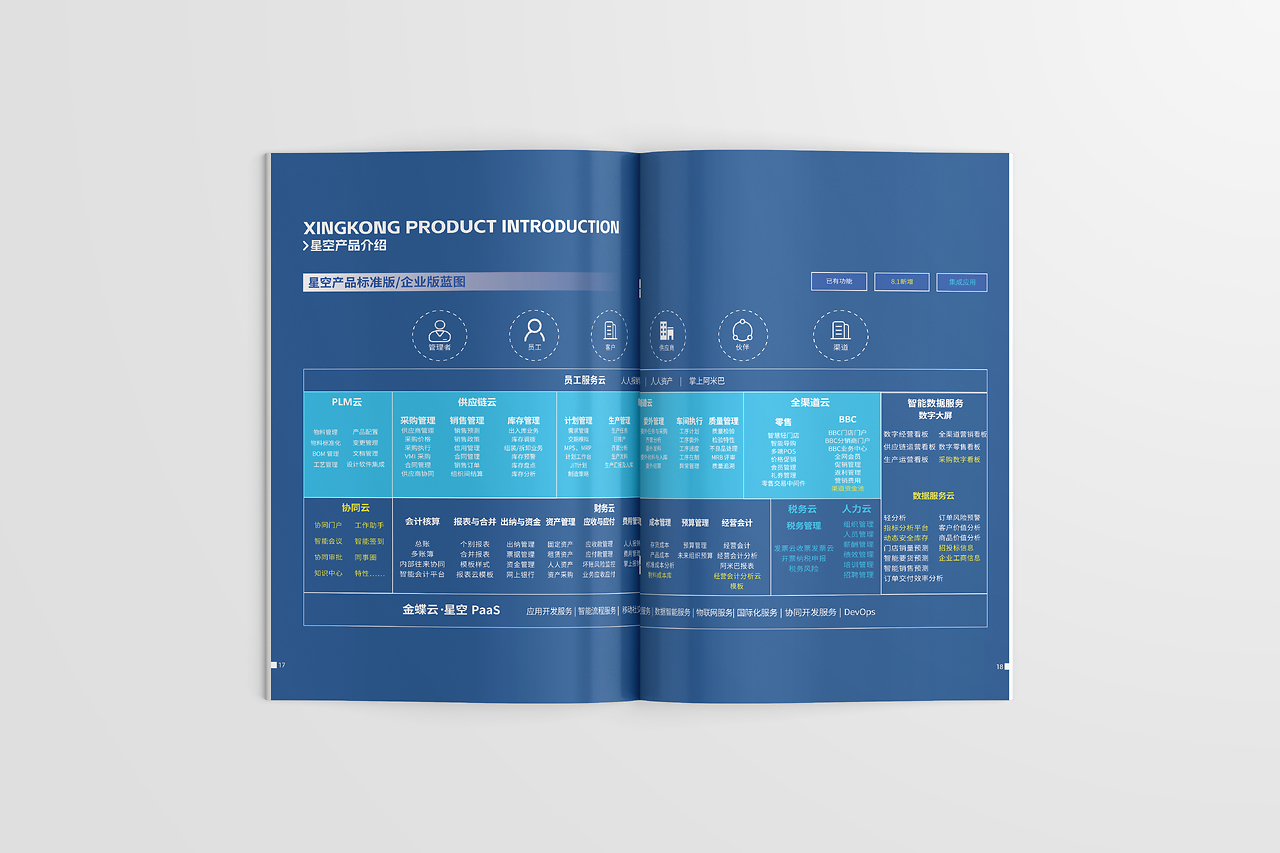 企業(yè)管理咨詢畫冊 打造卓越企業(yè)形象的戰(zhàn)略藍(lán)圖